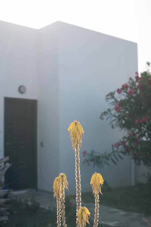 Drago Homes Corralejo Dış mekan fotoğraf